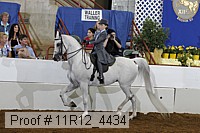 11r12_4434 thumbnail