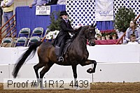 11r12_4439 thumbnail