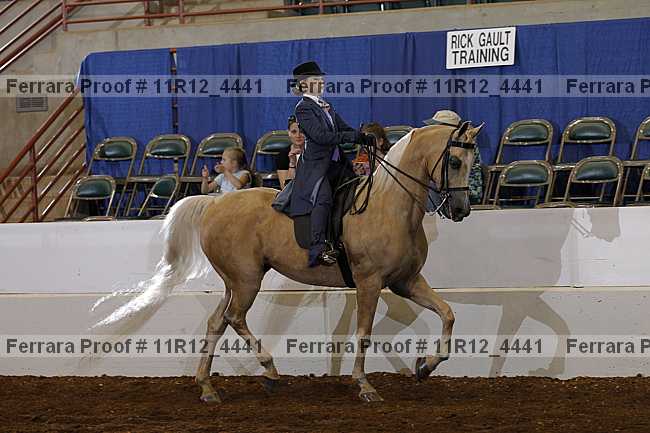 Proof Number 11r12_4441