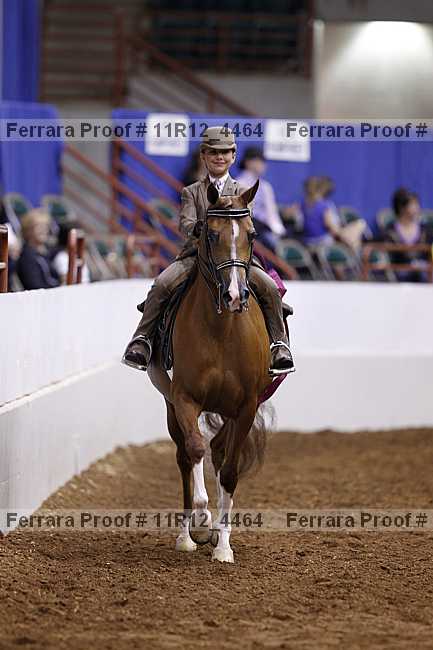 Proof Number 11r12_4464