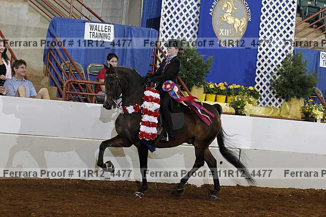 Proof Number 11r12_4477