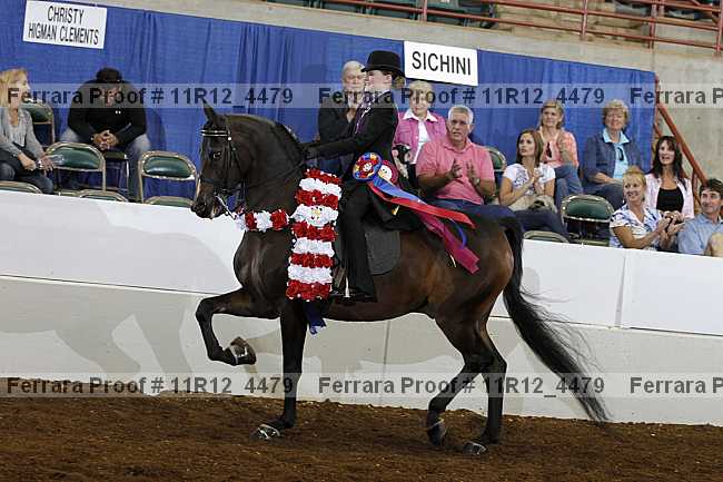 Proof Number 11r12_4479