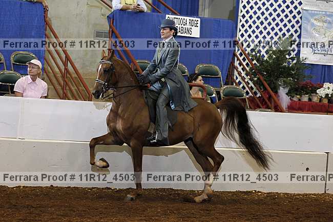 Proof Number 11r12_4503