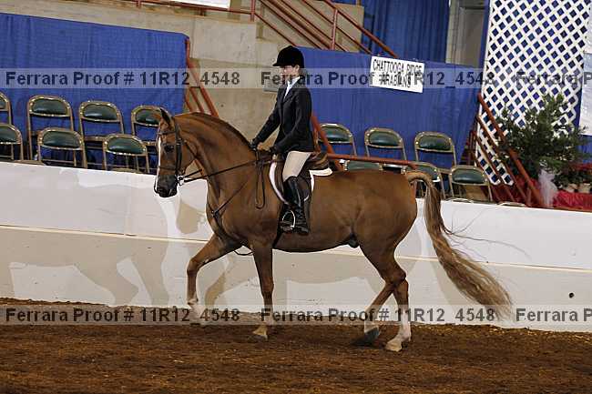 Proof Number 11r12_4548