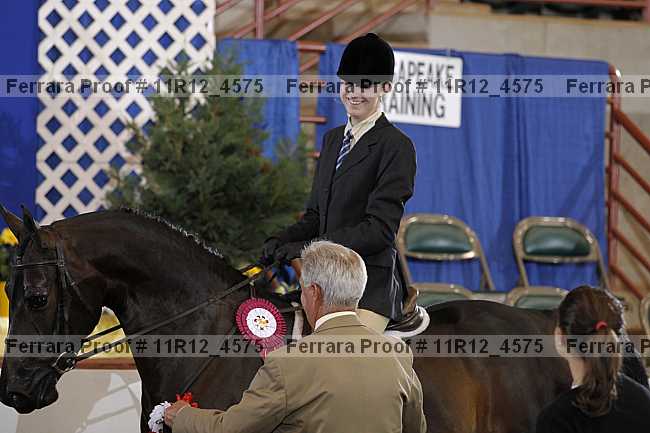Proof Number 11r12_4575