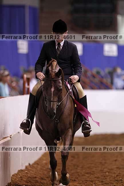 Proof Number 11r12_4601