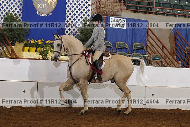Proof Number 11r12_4604
