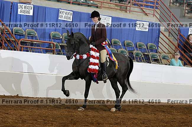 Proof Number 11r12_4610