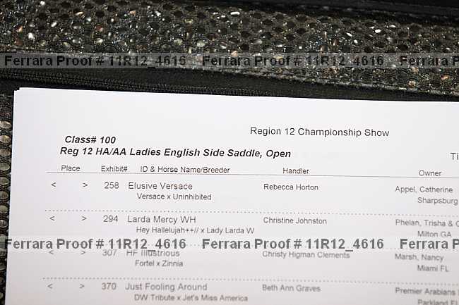 Proof Number 11r12_4616
