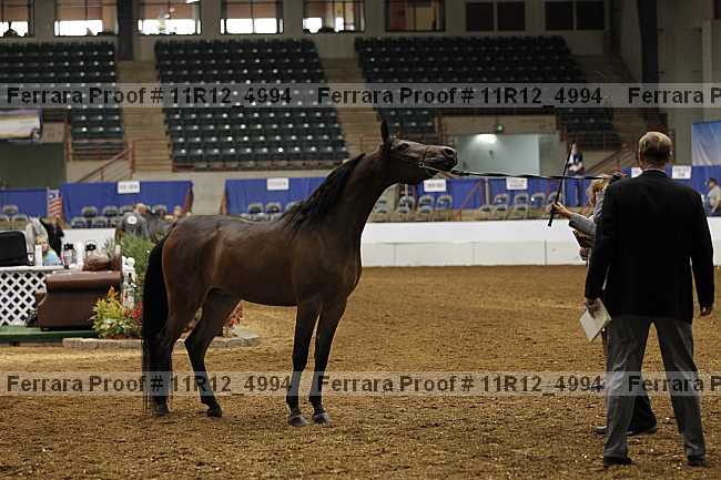Proof Number 11r12_4994