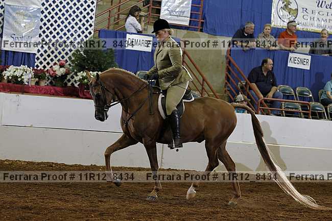 Proof Number 11r12_8434