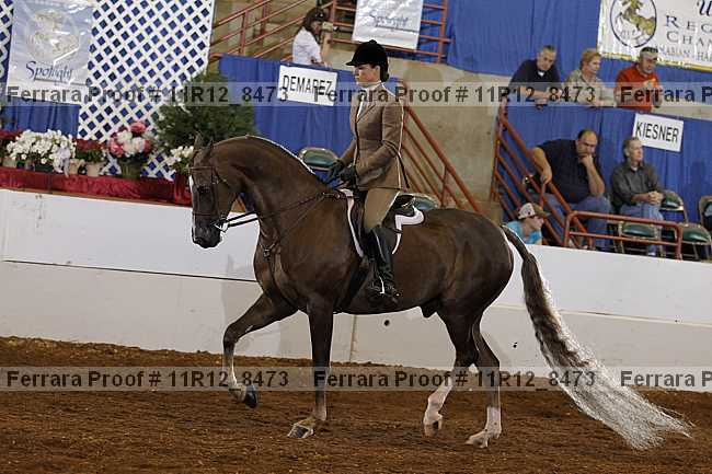 Proof Number 11r12_8473