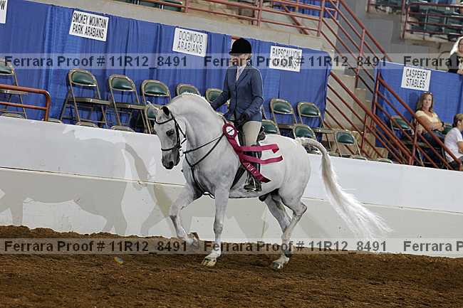 Proof Number 11r12_8491