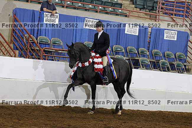 Proof Number 11r12_8502