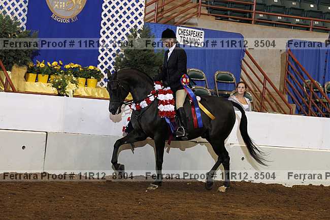 Proof Number 11r12_8504