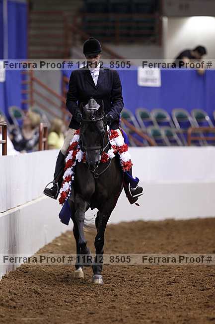 Proof Number 11r12_8505