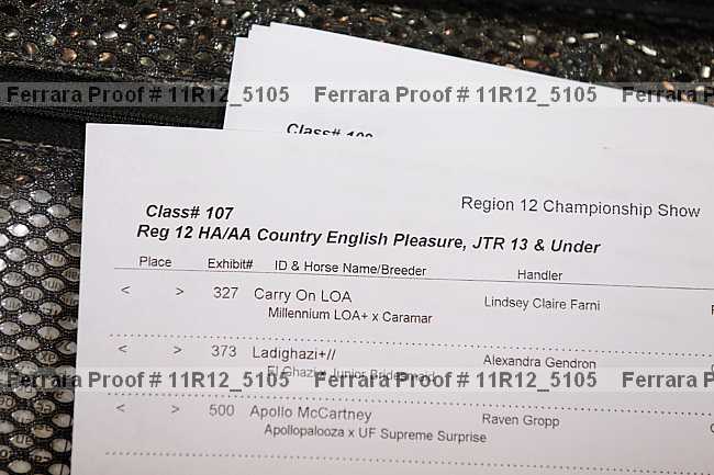 Proof Number 11r12_5105
