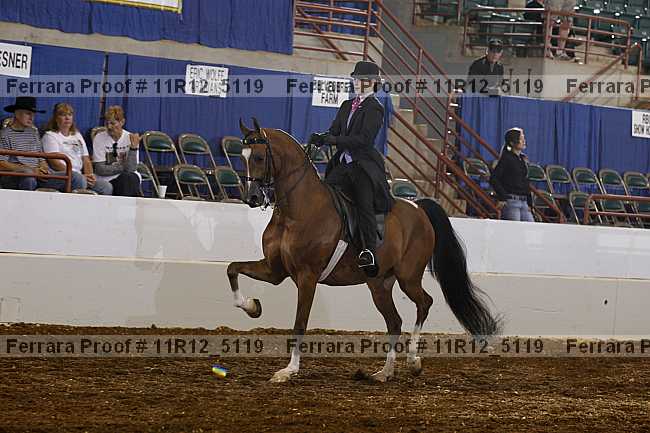 Proof Number 11r12_5119