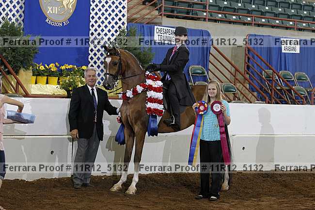 Proof Number 11r12_5132
