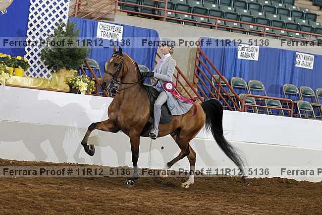 Proof Number 11r12_5136