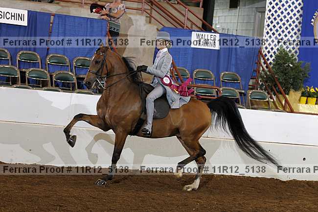 Proof Number 11r12_5138