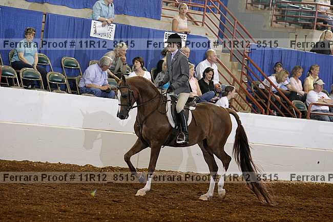 Proof Number 11r12_8515