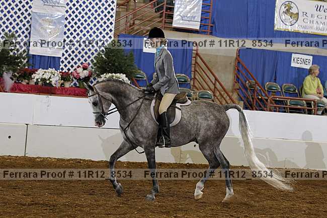 Proof Number 11r12_8534