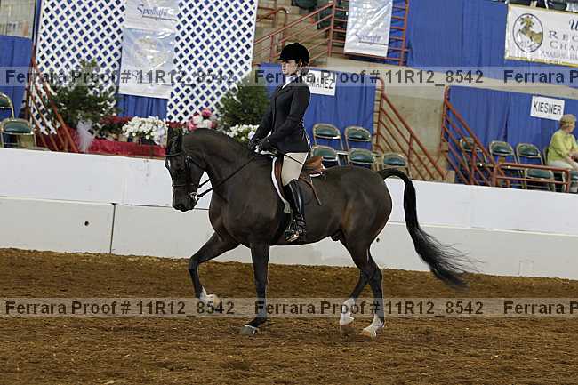 Proof Number 11r12_8542