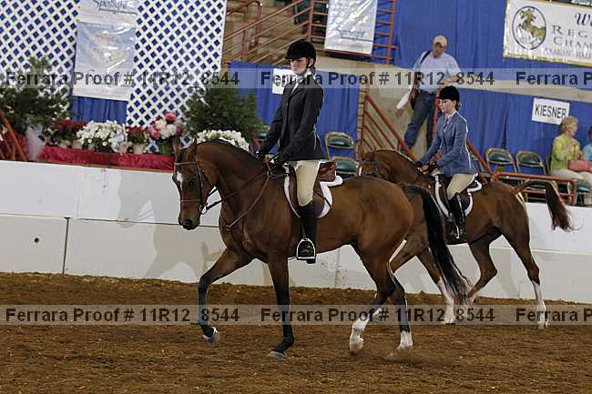 Proof Number 11r12_8544