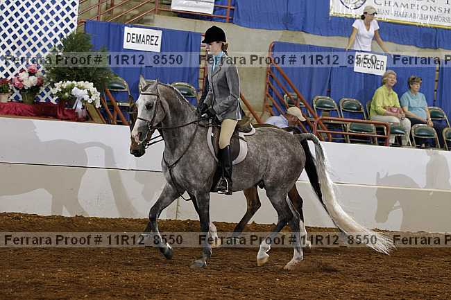 Proof Number 11r12_8550