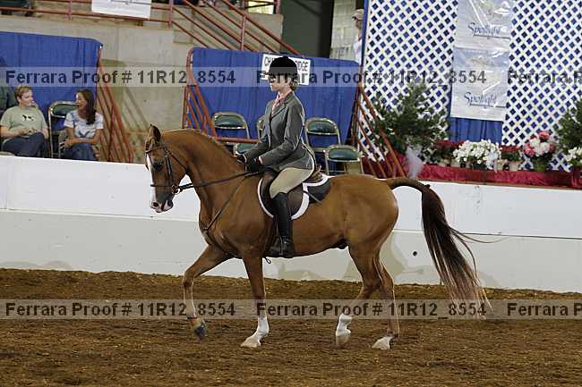 Proof Number 11r12_8554