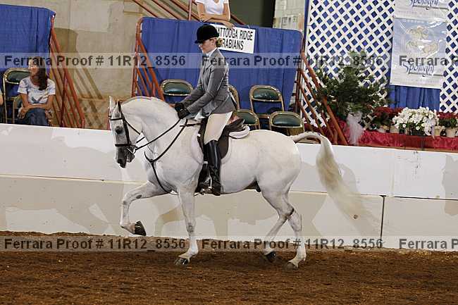 Proof Number 11r12_8556
