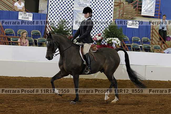 Proof Number 11r12_8559