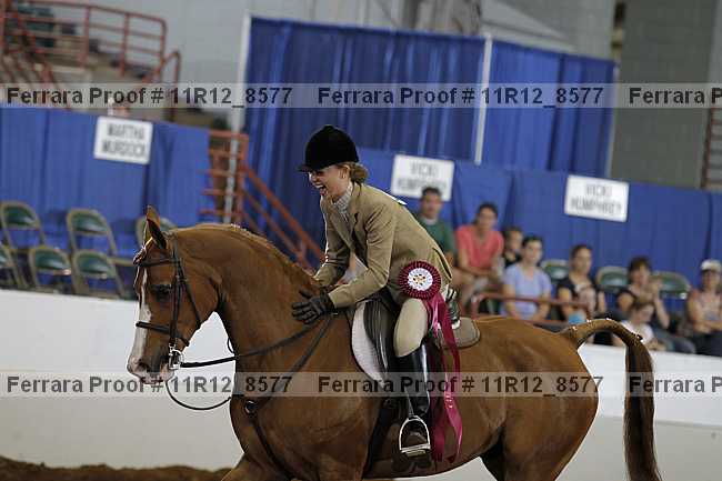 Proof Number 11r12_8577