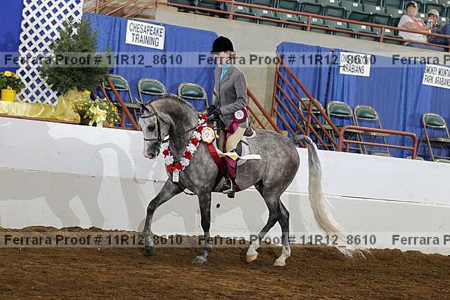Proof Number 11r12_8610