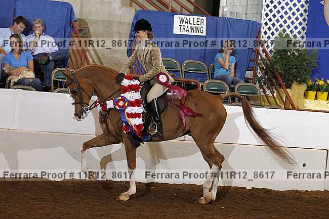Proof Number 11r12_8617