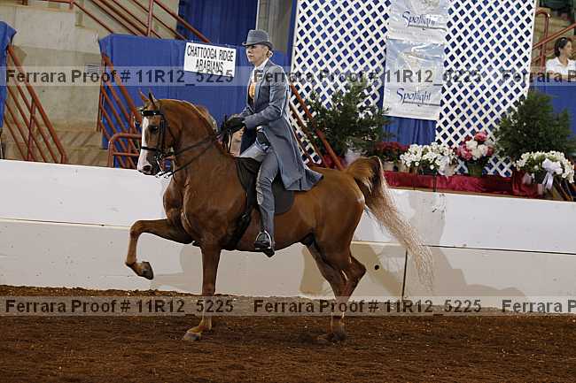 Proof Number 11r12_5225