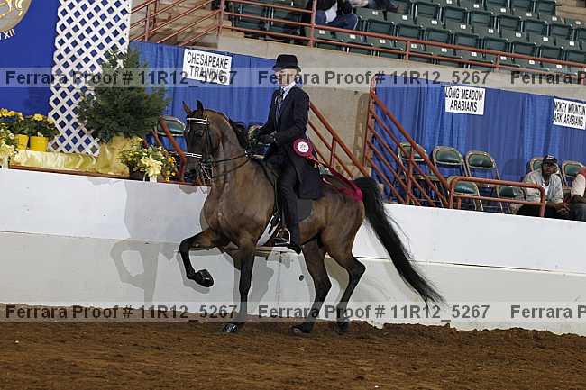 Proof Number 11r12_5267