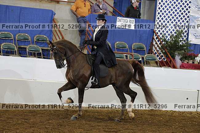 Proof Number 11r12_5296