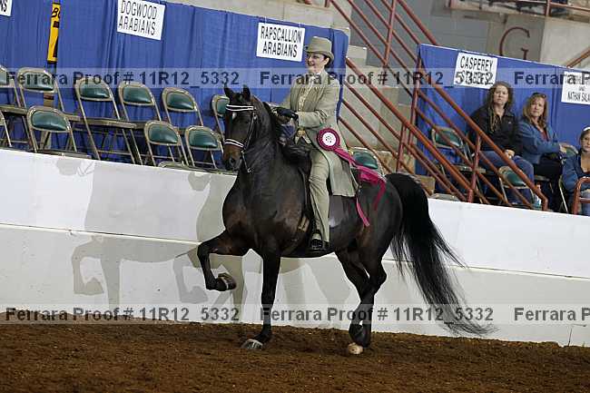 Proof Number 11r12_5332