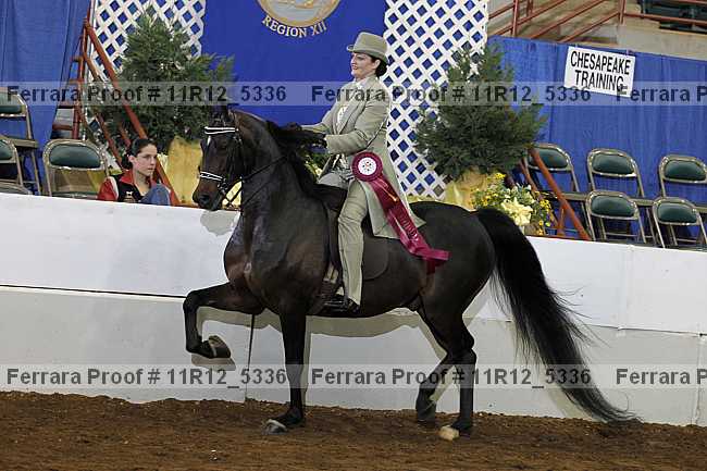 Proof Number 11r12_5336