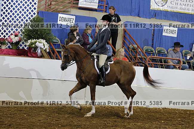 Proof Number 11r12_5385