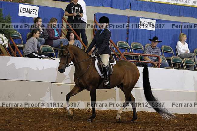 Proof Number 11r12_5387
