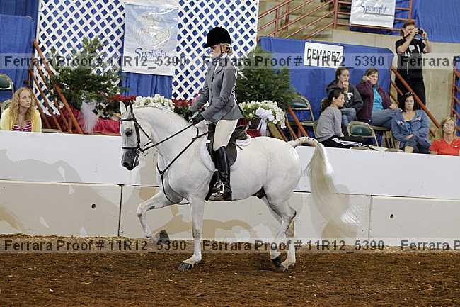 Proof Number 11r12_5390