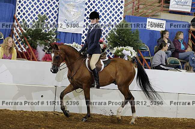 Proof Number 11r12_5396