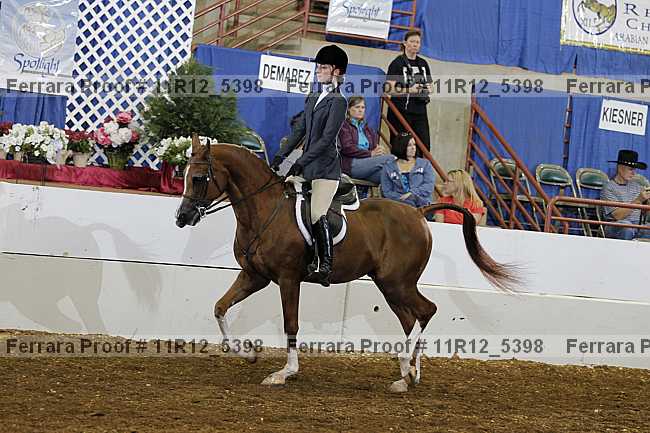 Proof Number 11r12_5398