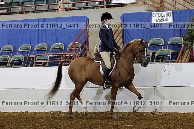 Proof Number 11r12_5401