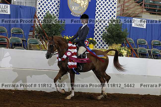 Proof Number 11r12_5442