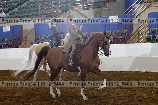Proof Number 11r12_5484