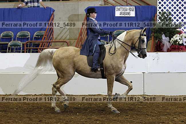 Proof Number 11r12_5489